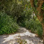 빌라 Trulli Olistici 로코로톤도