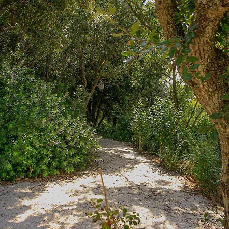 Вилла Trulli Olistici Локоротондо