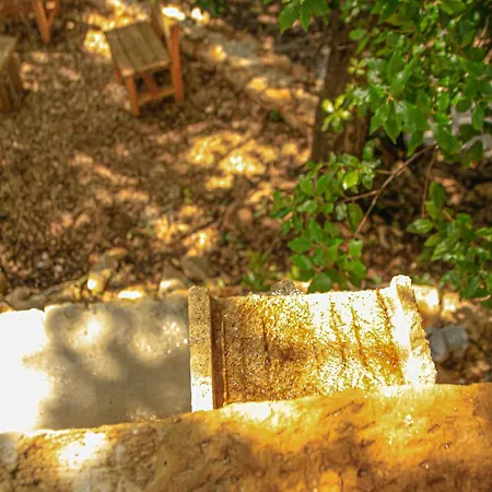 Trulli Olistici Locorotondo