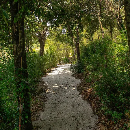 Trulli Olistici Locorotondo
